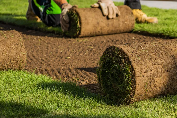 Landschaftsbauer in der Nähe finden