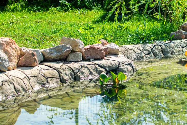 Ein frisch angelegter Gartenteich mit klarem Wasser, umgeben von Natursteinen und grünen Pflanzen. Einige Seerosenblätter schwimmen auf der Wasseroberfläche. Im Hintergrund ist eine gepflegte Rasenfläche mit verschiedenen Büschen und Bäumen zu sehen. Das Bild veranschaulicht den Prozess und das Ergebnis des Teichbaus in einem Garten.