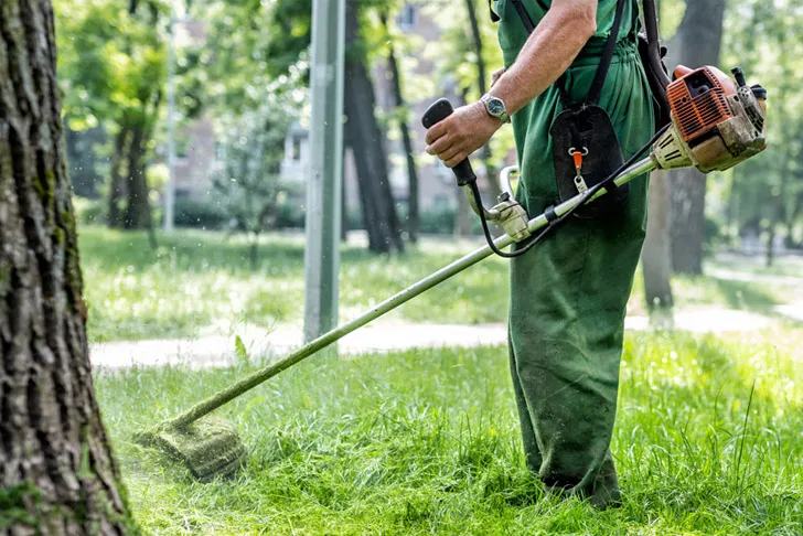 Eine Fachkraft in Arbeitskleidung kürzt mit einem benzinbetriebenen Freischneider den Rasen in einer gepflegten Grünanlage mit Bäumen und Wegen.