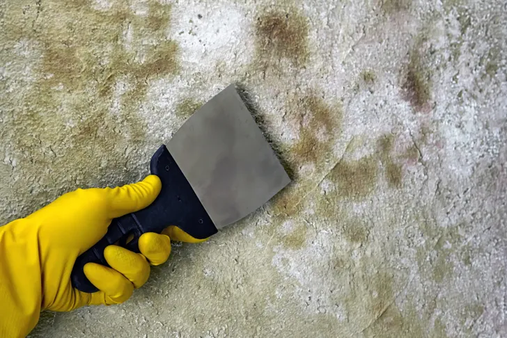 Ein Handwerker in gelben Gummihandschuhen verwendet einen Spachtel, um Schimmel von einer Wand zu entfernen. Die Schimmelbeseitigung ist entscheidend für die Erhaltung eines gesunden Wohnumfeldes.