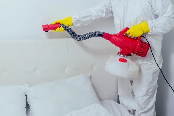 Schädlingsbekämpfer in Schutzanzug mit Atemmaske besprüht ein Bett mit Heißdampfgerät zur professionellen Bettwanzenbekämpfung in einem Schlafzimmer.