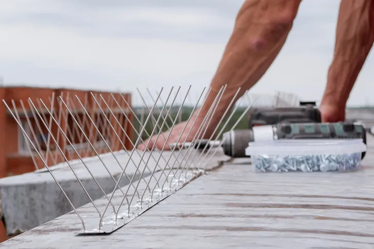 Montierte Taubenabwehr aus Edelstahlspikes auf einer Betonfensterbank, um Tauben am Aufsitzen zu hindern.